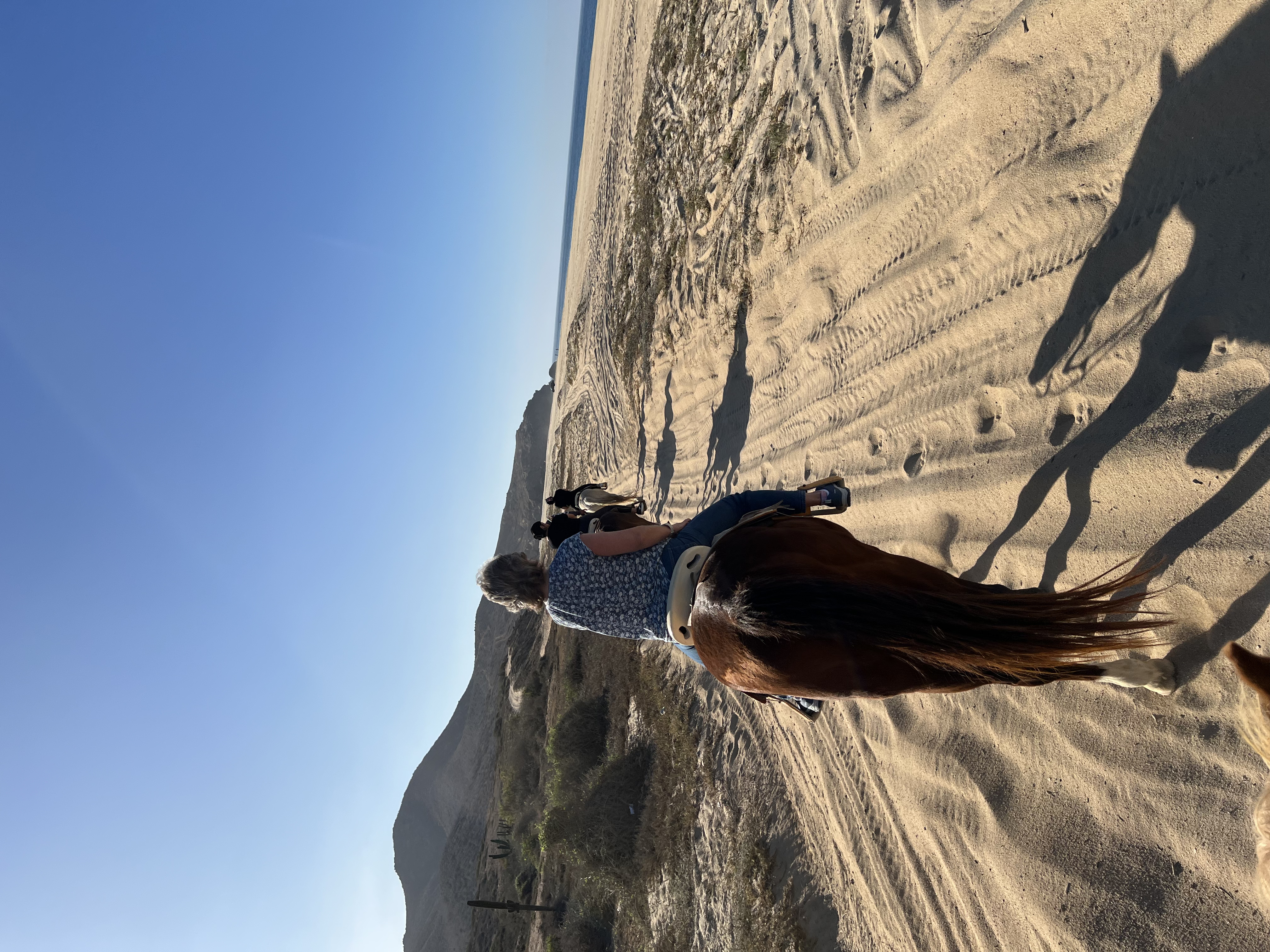 ./2024/13 - Cabo/IMG_4388.jpg